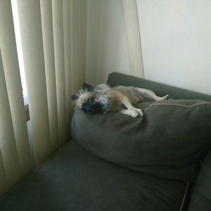 Meet your Posher, Tinesha